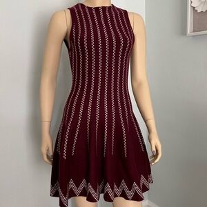 J.O.A. Intarsia Fit and Flare‎ 100% cotton sleeveless wine sweater dress small